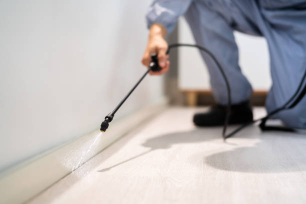 Bed Bug Pre-Treatment Preparation Assessment in Blackville
