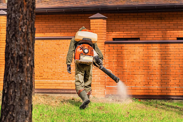 Bed Bug Clearance Verification and Documentation in Blackville